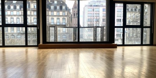 Magnifique appartement vue sur les quais;3/4 pièces avec double parking en sous-sol